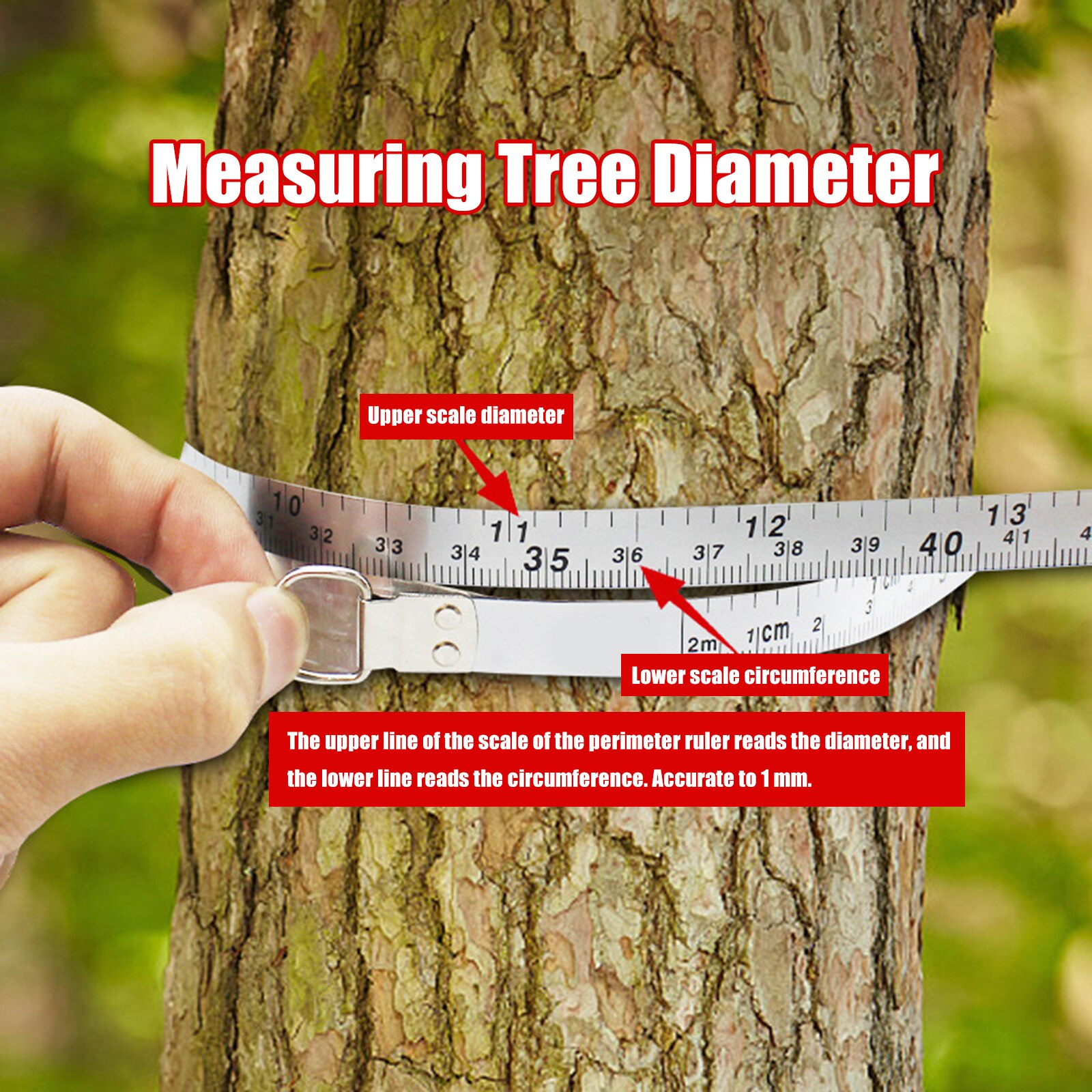 Tree Diameter Tape 2 M Soft Retractable Metal Measuring Tape- Use For Measuring Cylindrical Objects