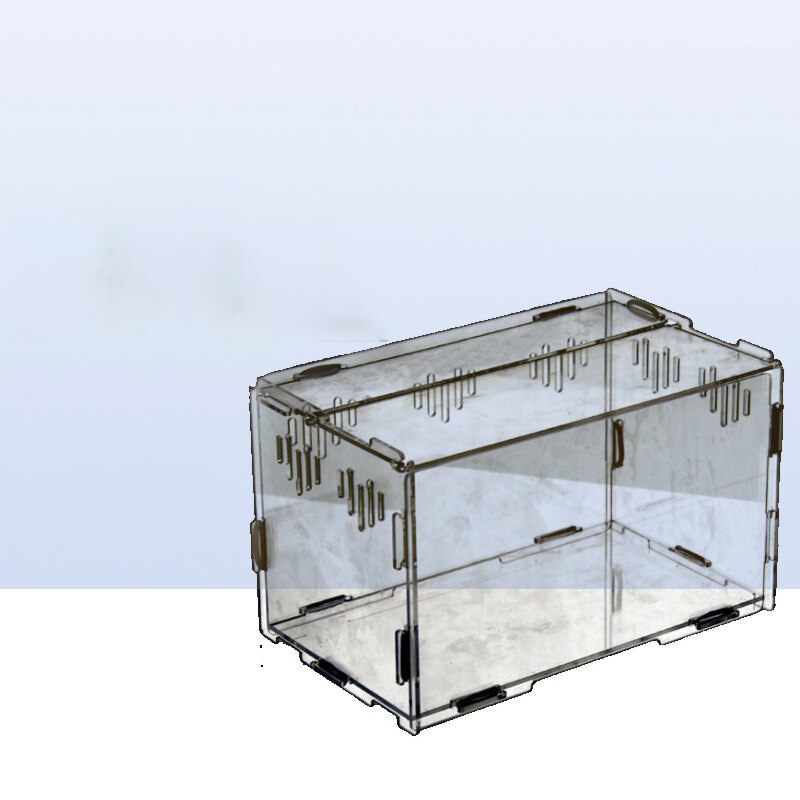 Reptiel Fokkerij Doos Acryl Transparante Spin Hagedis Schorpioen Enti &#39;S Acryl Gemonteerd Insect Ademend Terrarium