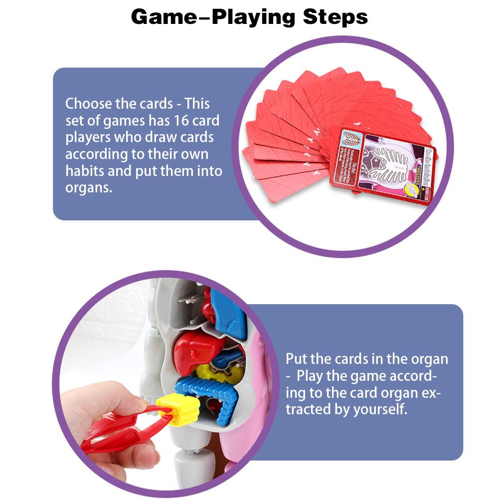 4D Human Body Assembled Model Toy Human Body Structure Model Early Educational Toys Desktop Game Model For Kids Children