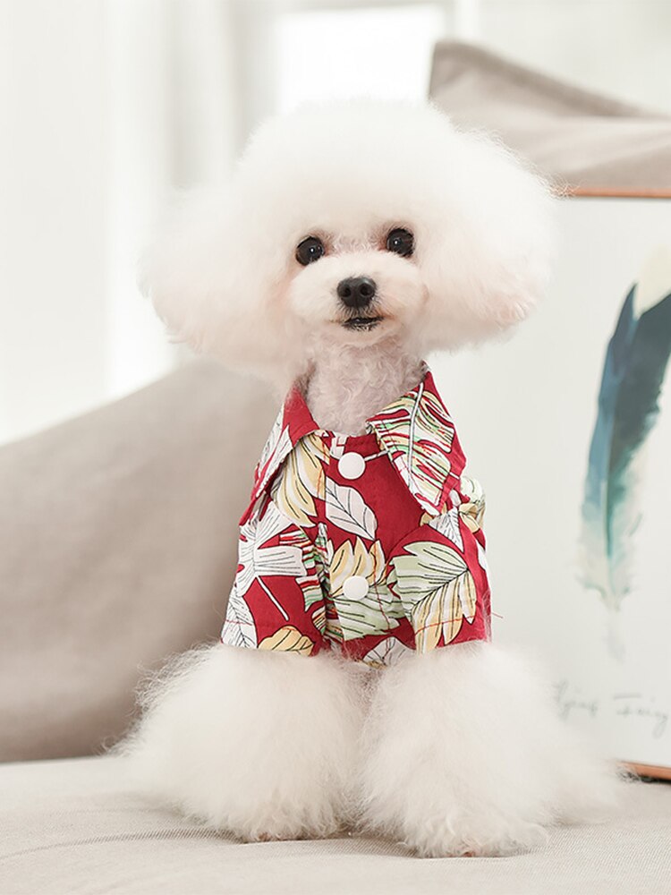 Zomer Huisdier Katoenen Kleding Hond Beach Palm Bloem Gedrukt T-shirt Kleine Medium Puppy Katten Apparel Supplies Chihuahua Teddy Outfits: red / XL