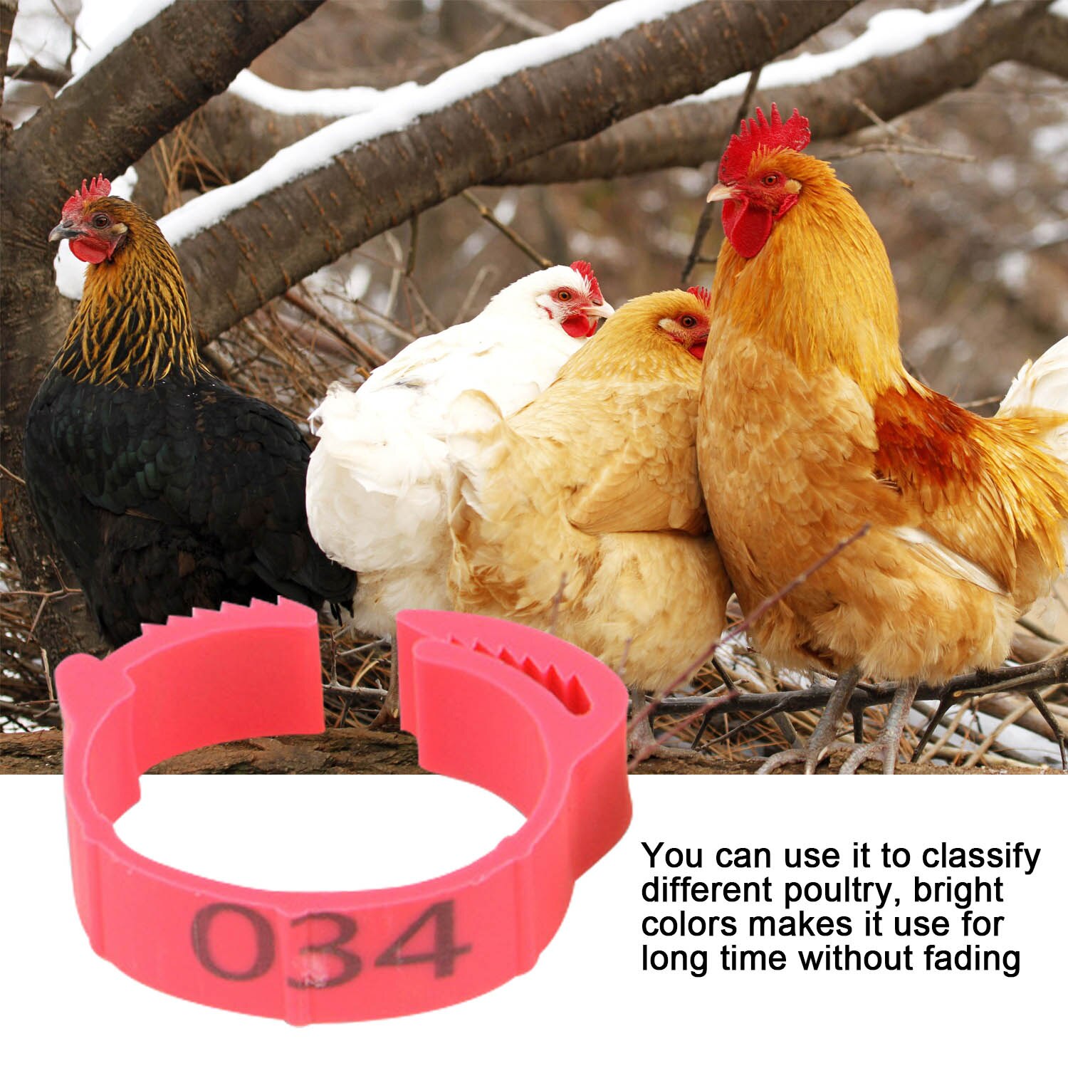 Behogar 100PCS Adjustable Digital Label Poultry Chicken Foot Label Buckle Rings for Chicken Duck Pigeon Poultry Farm Supplies
