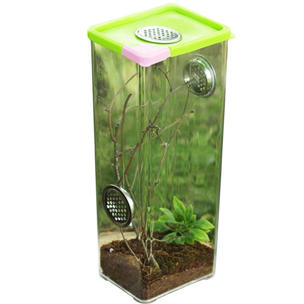 Reptiel Fokkerij Box Clear Acryl Reptiel Terrarium Voerbox Voor Spin Schorpioen: 10.5X8X25.5