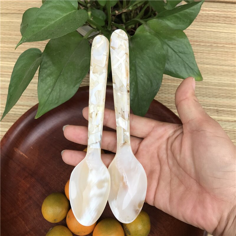 Deep sea shell spoon kitchen accessories shell small spoon fork children spoon tableware set Tablespoon