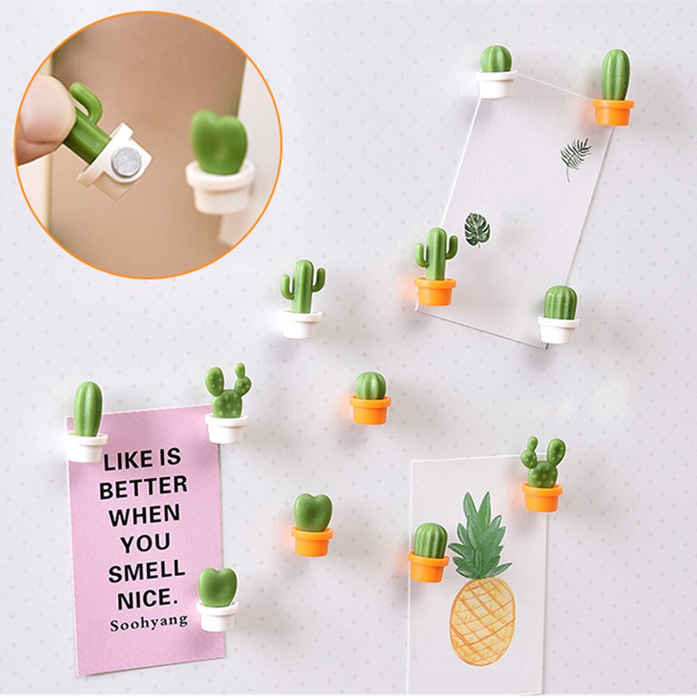 6 stuks schattige vetplanten magneetknop thuis keuken cactus koelkast bericht sticker draagbaar  #50g