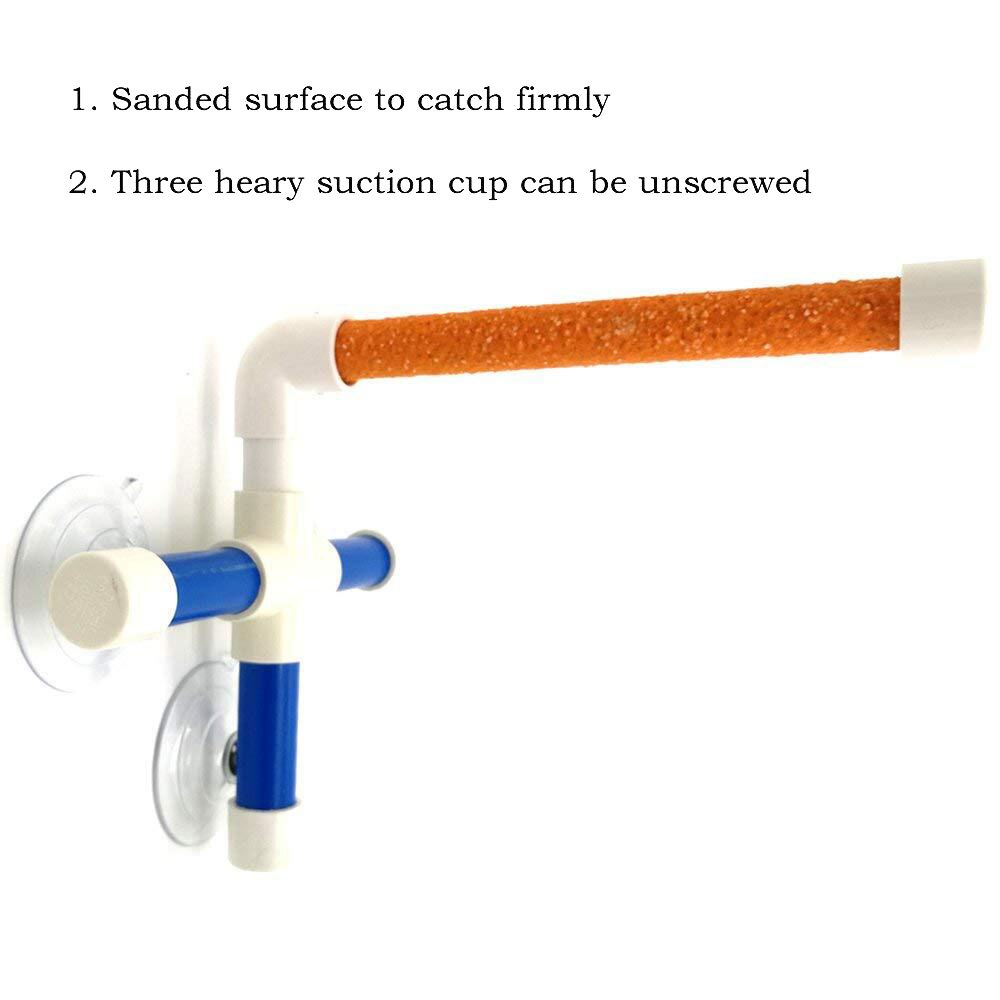 discoteca succhiare animale domestico Uccelli Pappagalli Vasca Da Bagno Doccia in Piedi Piattaforma sbarra Zampa Rettifica Staffa Stazione Interessante Posatoi Giocattolo