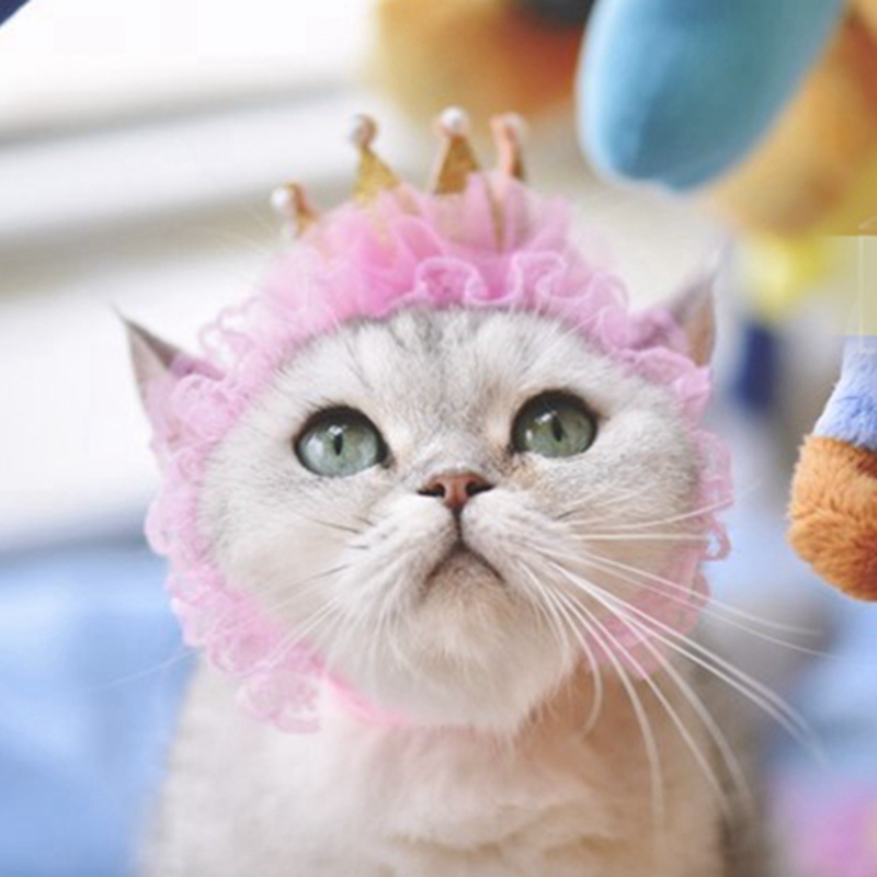Hermoso sombrero para gato, accesorios para el pelo de mascotas, tocado para gato, sombrero de cumpleaños para mascota, corona de cumpleaños para gato