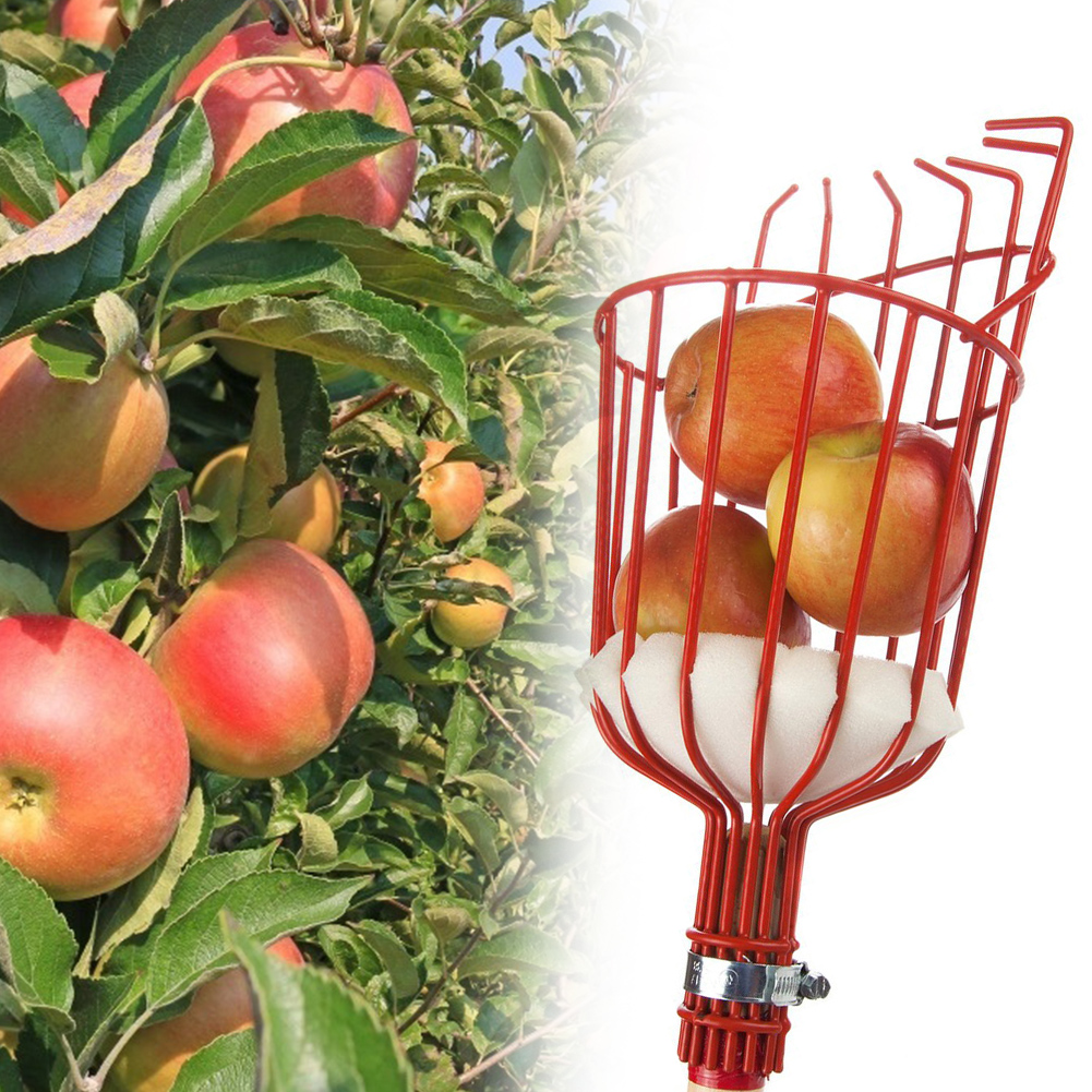 Herramienta de recolección de frutas de Metal para invernadero, recogedor de melocotones y manzanas de color naranja, cesta profunda de aluminio para exteriores, herramientas de jardín