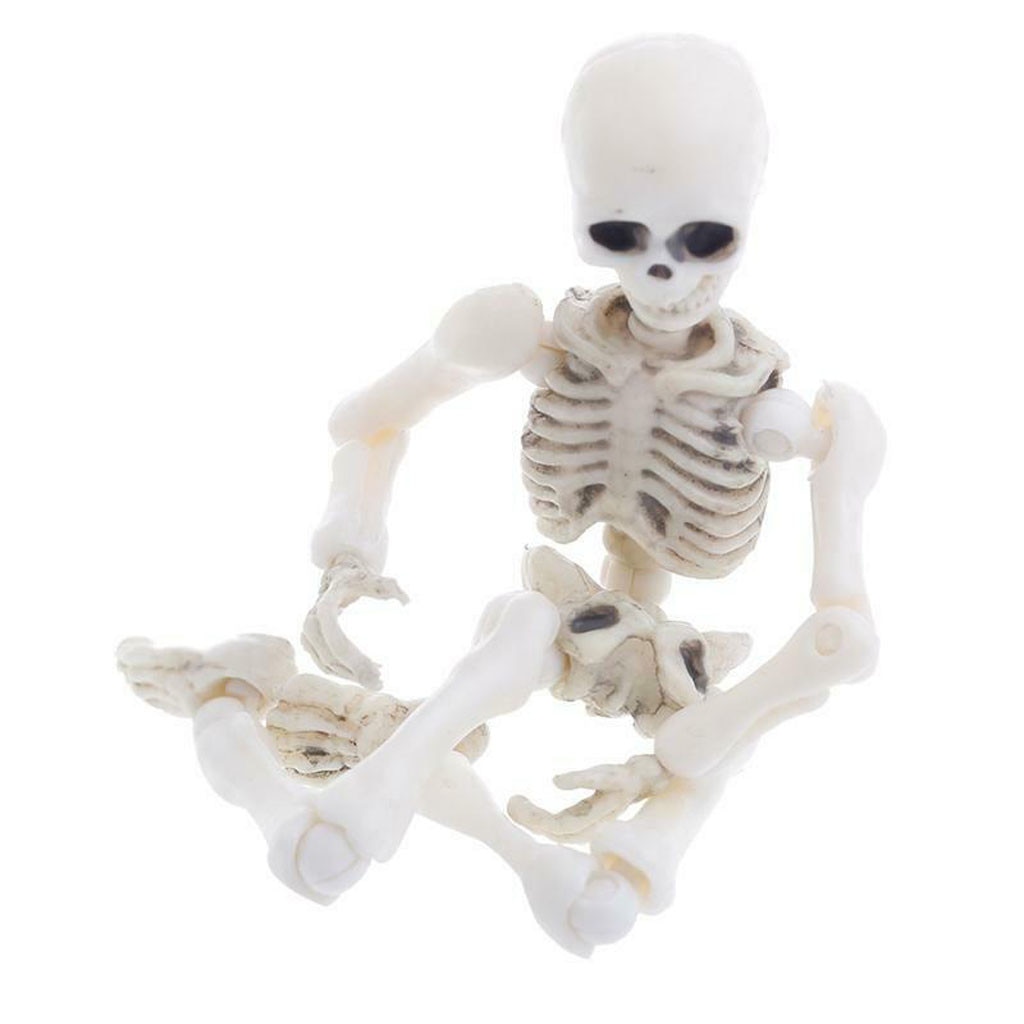 Halloween Movable Skeleton Human Model Skull Full Body Mini Figure Toy Anatomy Model Simulation Haunted House Decoration #40