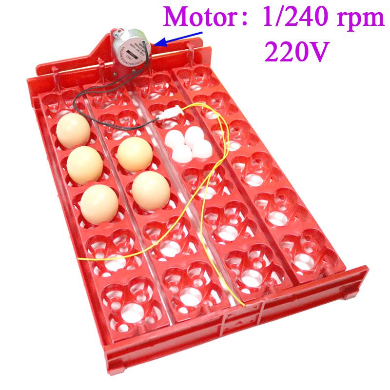 Incubadora para aves 96 huevos, bandeja automática de 24 huevos, herramienta de incubación de codornices de loros, tamaño 43*28 cm: 1I240 rpm 220V motor