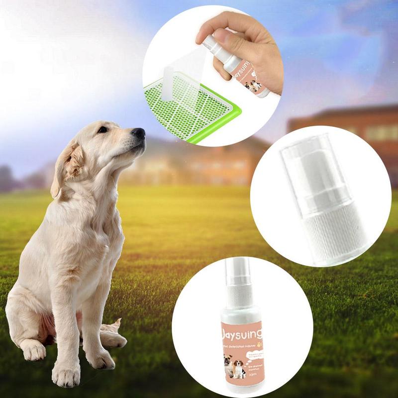 30ml odeur attrayante inducteur pour animaux de compagnie chat toilette formation chaton chatons chiot défécation formation chien pour le positionnement du chat Q3A7