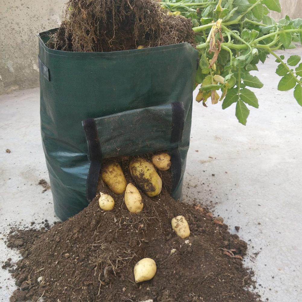 Aardappel tomaat groente kweekzakken planten kweekbak tuingereedschap
