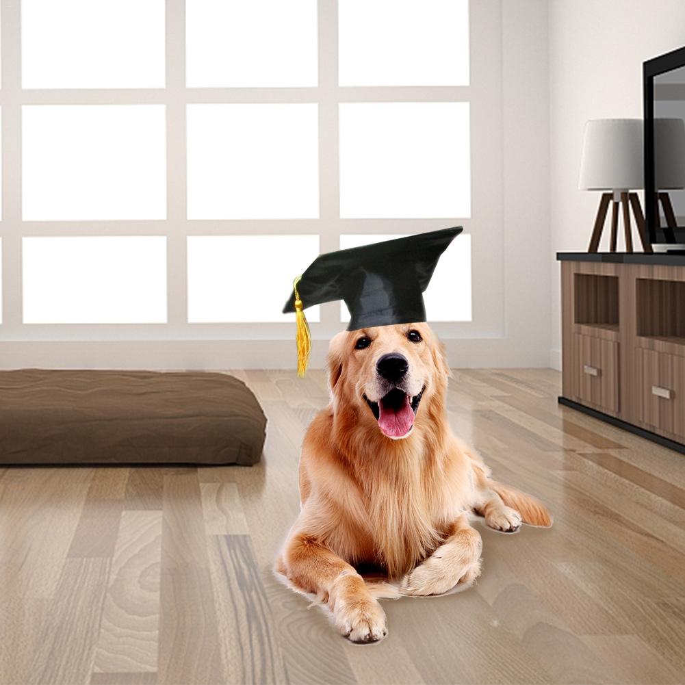Puppy Dog Dr. Hat Decoration Dog Custom Graduation Cap Dog Degree Headgear For DIY Pet Party Accessories