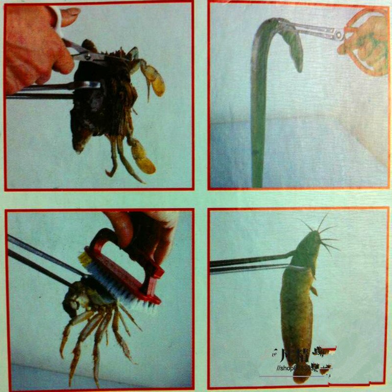 Beste BullFrog Catcher/Toad Catcher/Toad tang/Kikker tang/krab tang/Toad Clip/kikker Clip/Krab clip/Toad Tang/Krab Clip