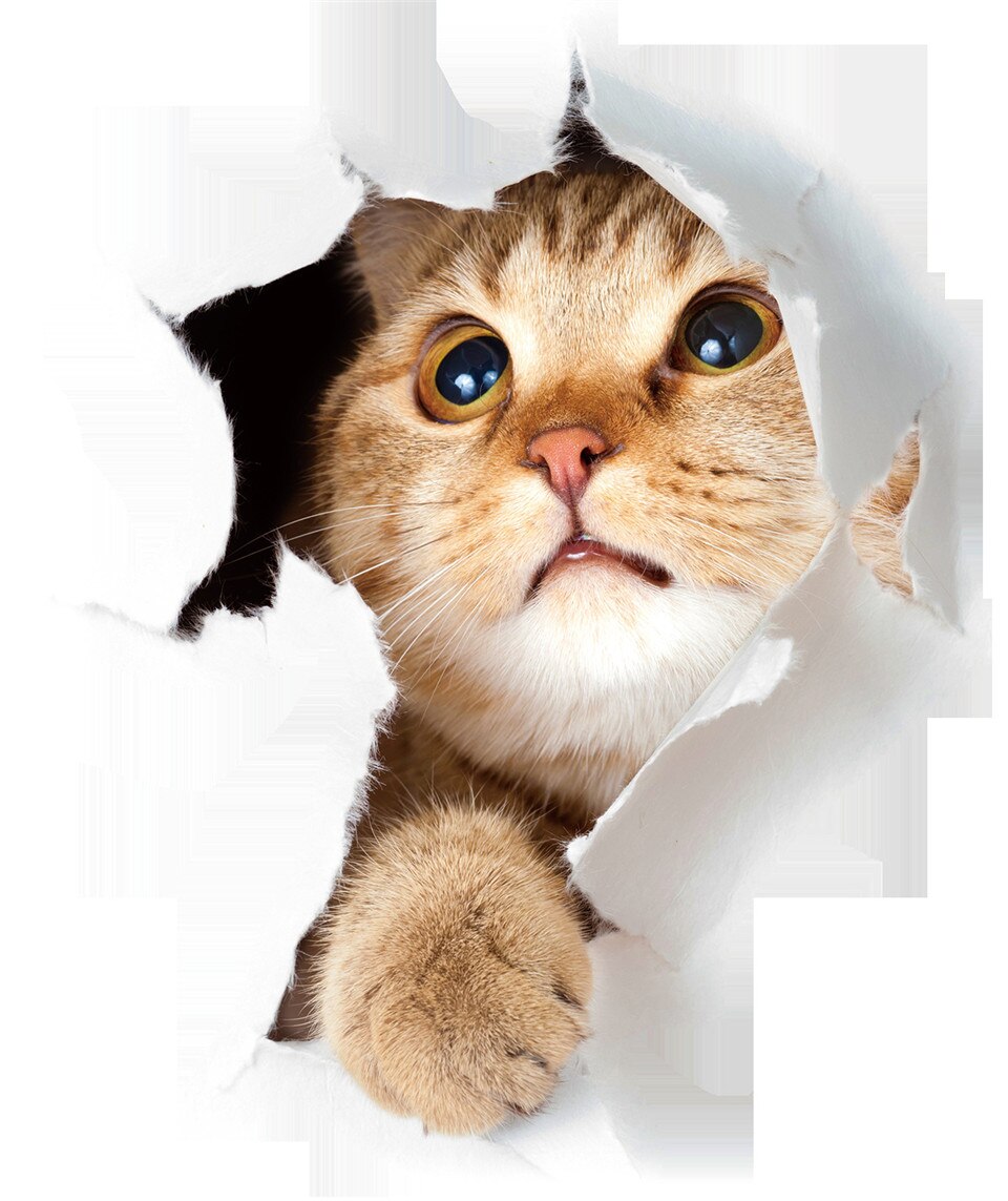 Schattig 3d kattenbehang zelfklevende waterdichte vinyl sticker voor slaapkamer badkamer decoratie huisdecoratie muursticker cartoon muurschildering