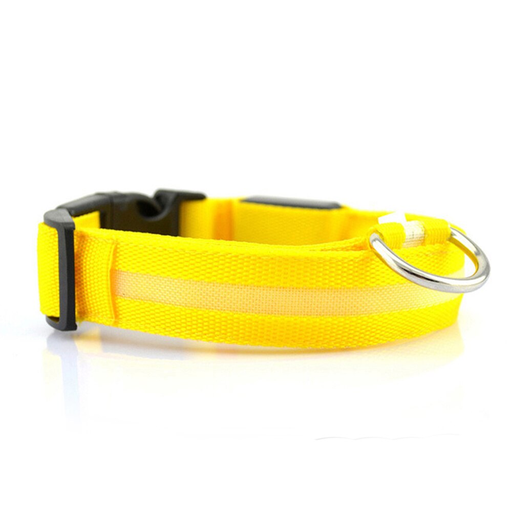 Led Anti-Verloren Huisdier Halsband Flashing Glow Glowing Lichtgevende Night Halsbanden Harnesses Riemen Huisdier Producten Kat Halsbanden: yellow