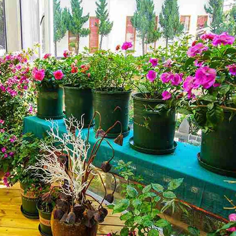 Växtfat 10pc stor - växtdroppbricka i plast för inomhusväxter utomhus - rund grön 10 tums växtbricka för blommor