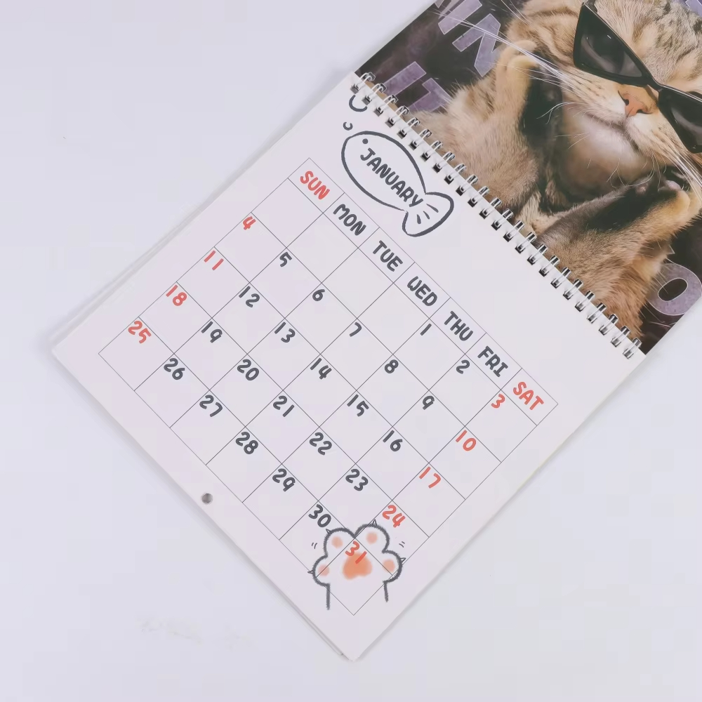 Søt kattekalender, månedlig og daglig planlegger med en bedårende kattunge med froskeøyne, perfekt juleår