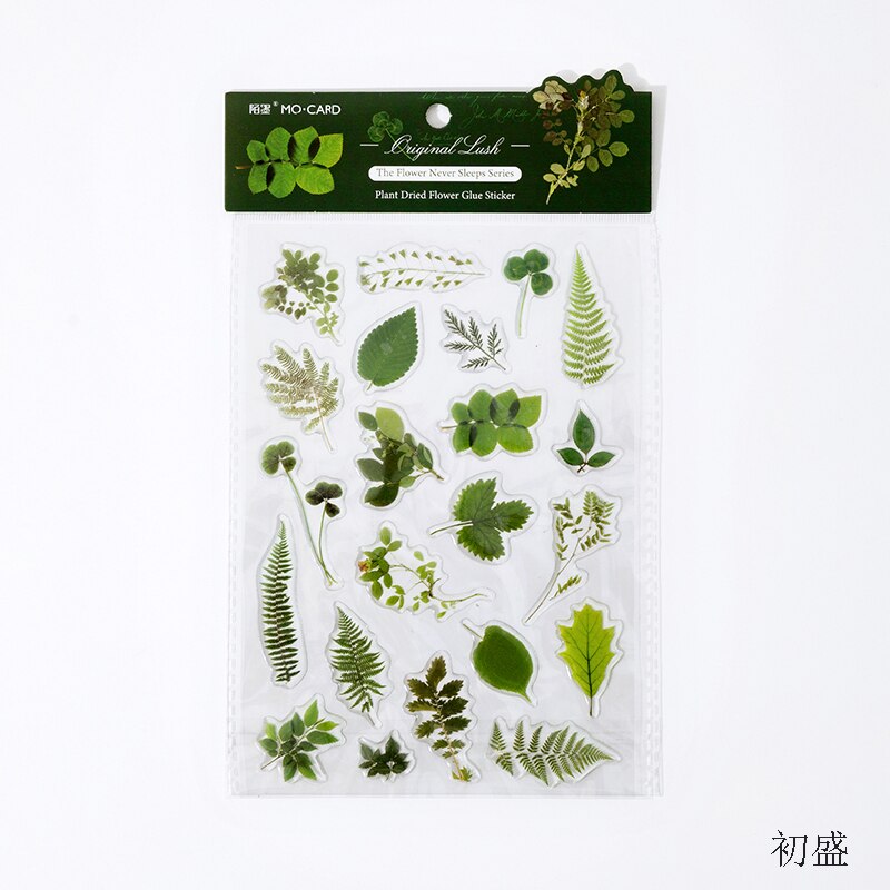 Cute Flowers Glue Clear Sticker Fern Leaves Decorative Stickers Scrapbooking Stick Label Diary Album stationery Sticker: 3