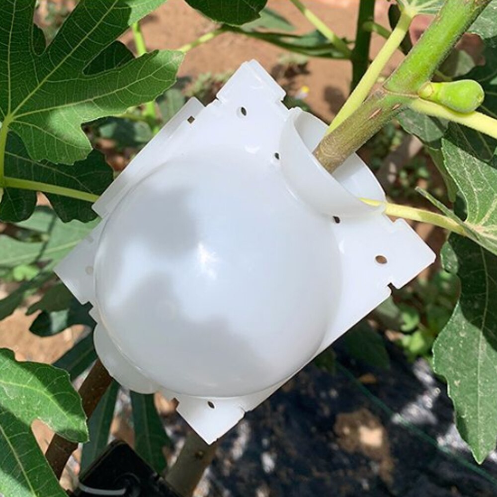 Plant high pressure propagation box cutting grafting rooting box garden tree rooting propagation ball