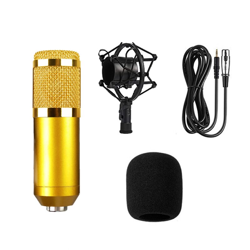 Condenser Microphone for PC Voice Recording Microphone for Karaoke Microphone Mic Kit Sound Card Microphone BM800: Type 1