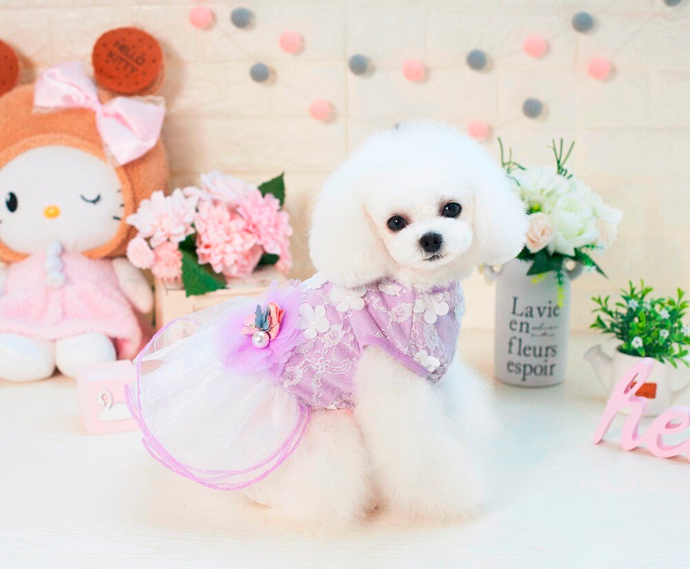 vestido de encaje para perros de compañía a la con estilo de Ballet de ensueño vestido para perros ropa para perros