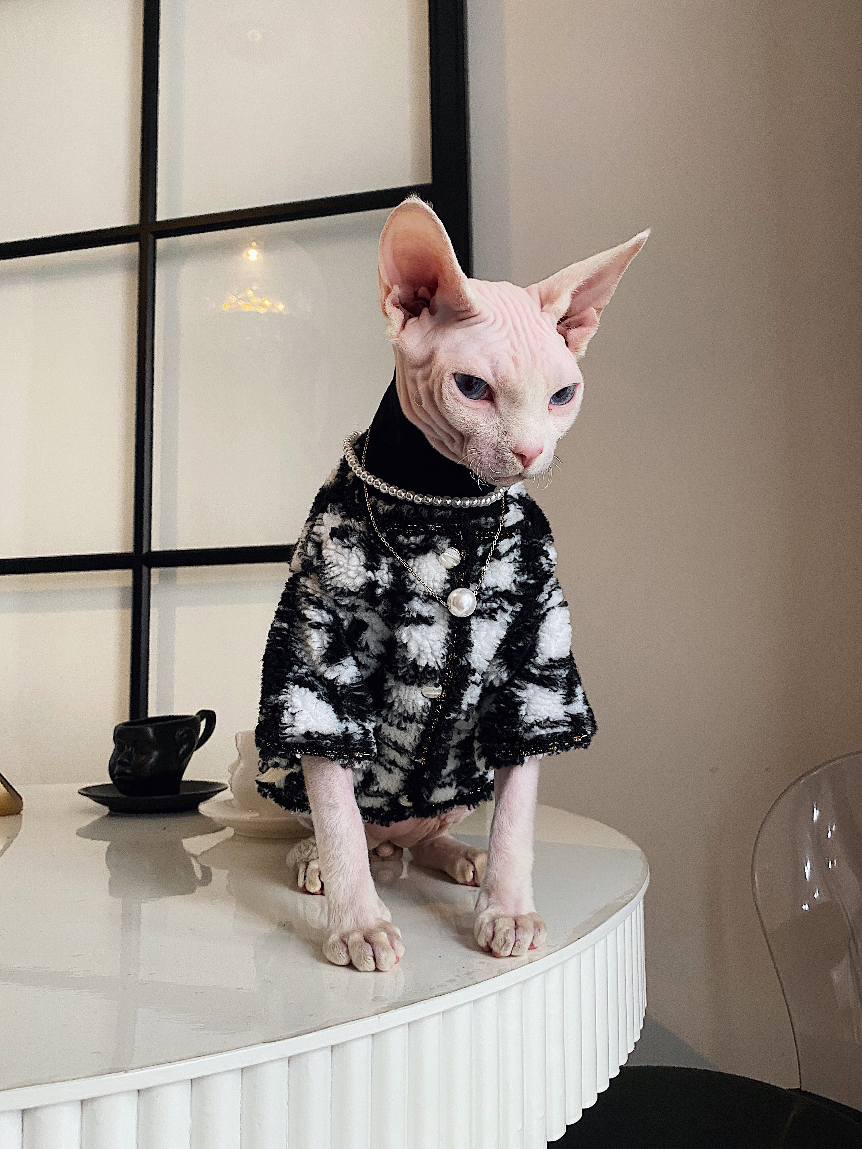 Senaste sphynx kattkläder ulltröja med valfritt pärlhalsband