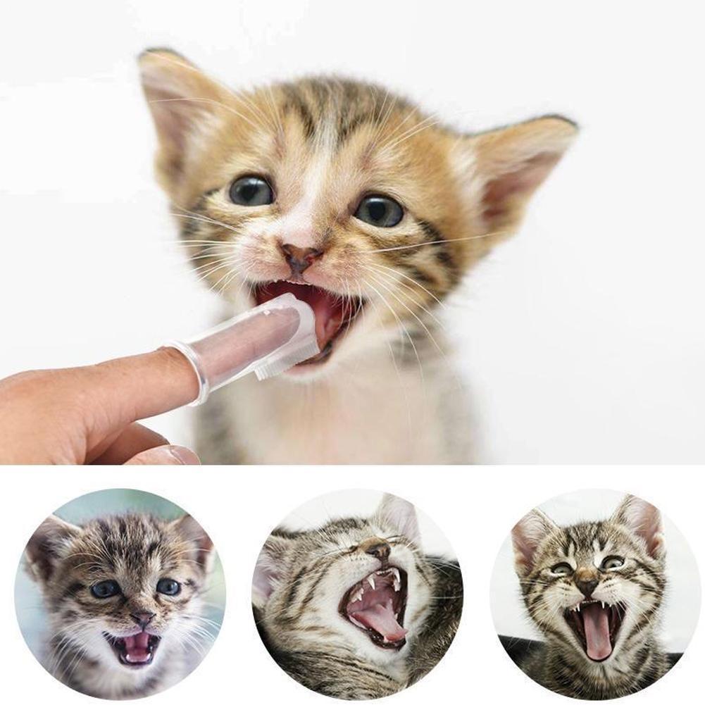 Dog Healthy Edible Toothpaste Small Dog Cats Mouth Pet And Teeth And Beef 2 And Supplies Taste Care Accessories Cleaning Va J6Z8