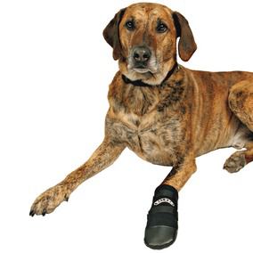 Trixie 2 Beschermingsschoenen Neopreen Walker (Honden , Hondenkleding , Schoenen)
