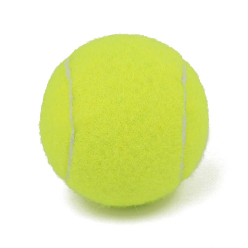 2pcs Reinforced Rubber Tennis Ball Shock Absorber High Elasticity Durable Training Ball for Club School Training