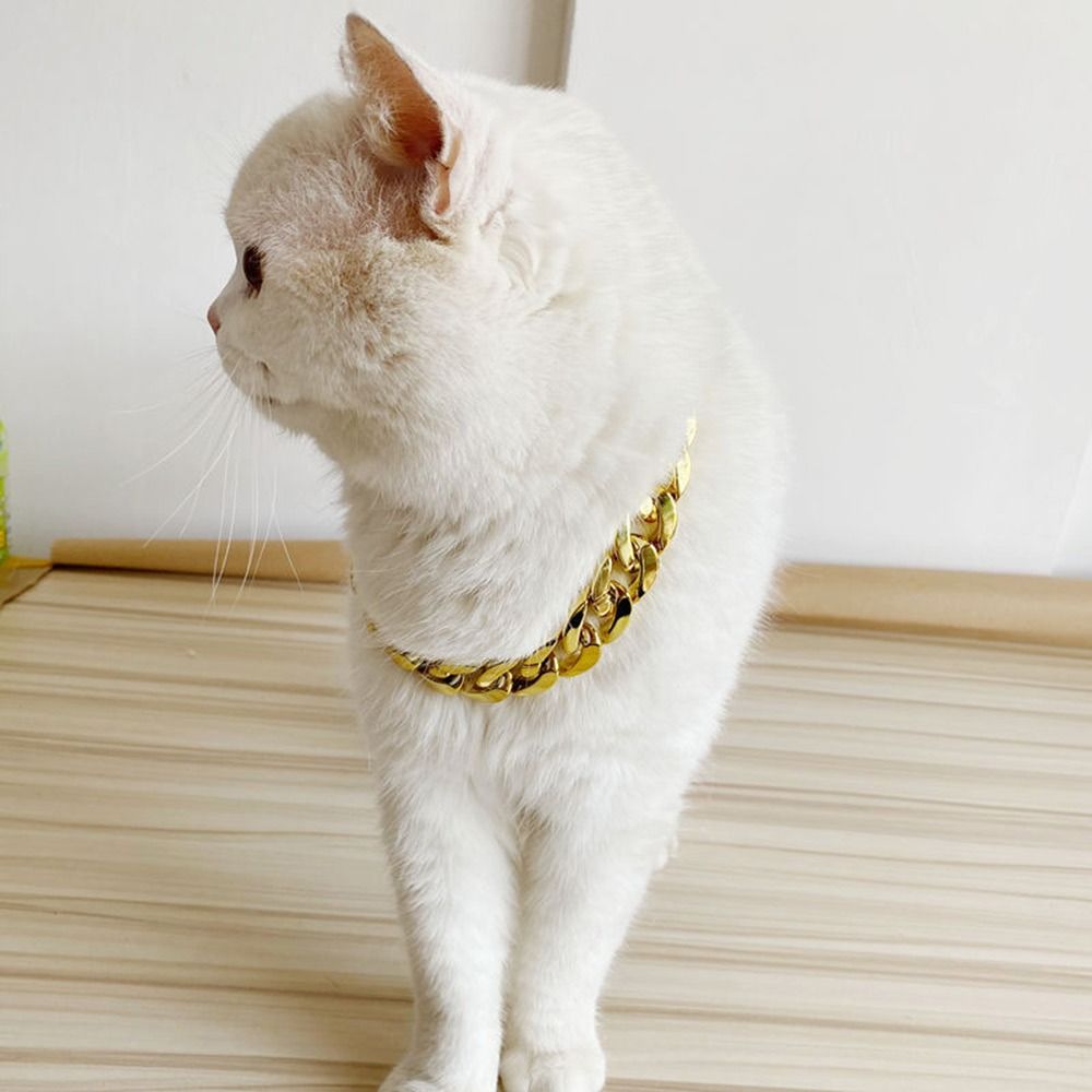 Huisdier Mode Ketting Ketting Hond Halsband Franse Vechten Kleine Middelgrote Hond Gouden Kraag Kat Hond Gouden Ketting Huisdier Sieraden Accessoires