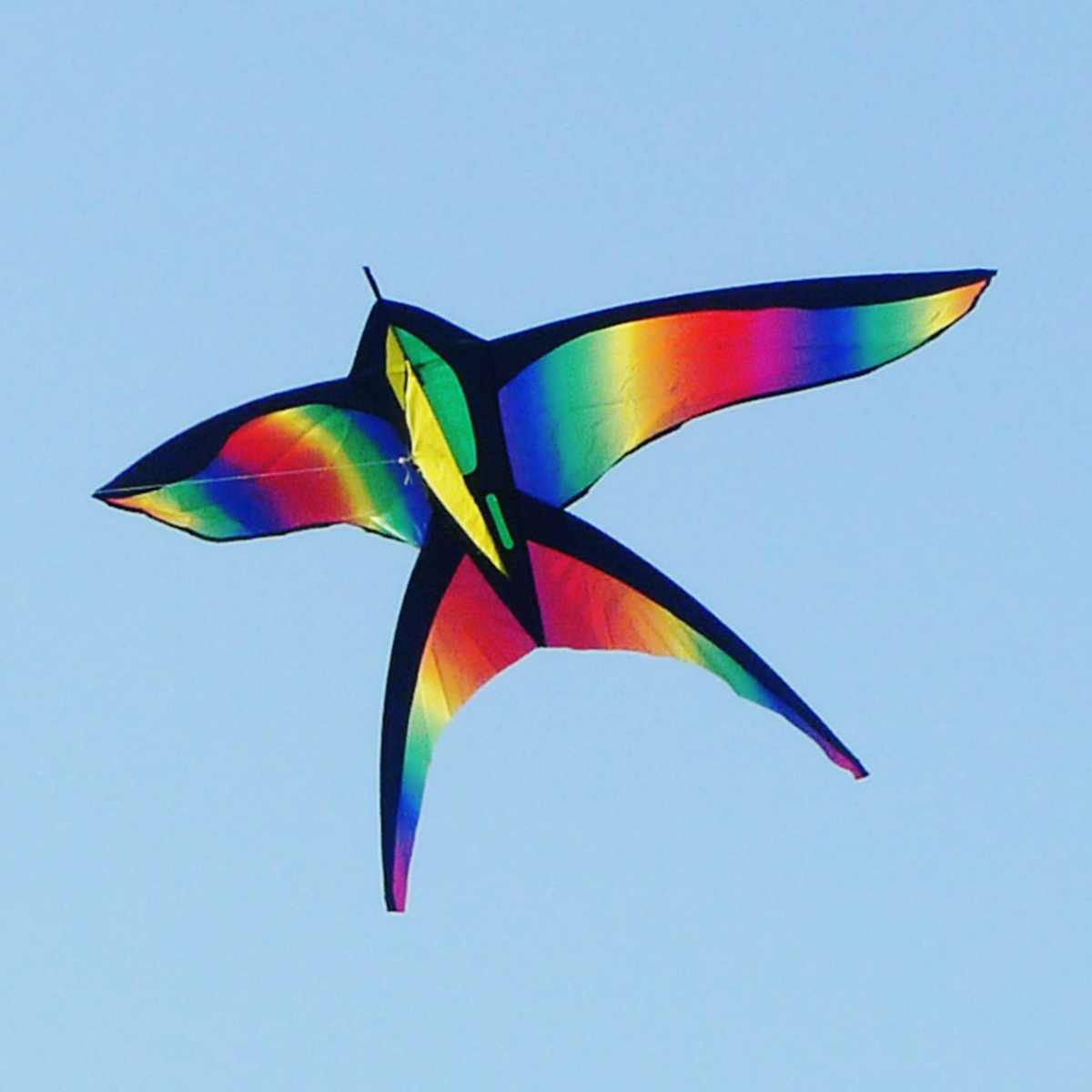 Kleurrijke zwaluw vliegende vlieger mooie regenboog vlieger kleur vogel vlieger buitenspeelgoed met handvat lijn voor kinderen kinderen