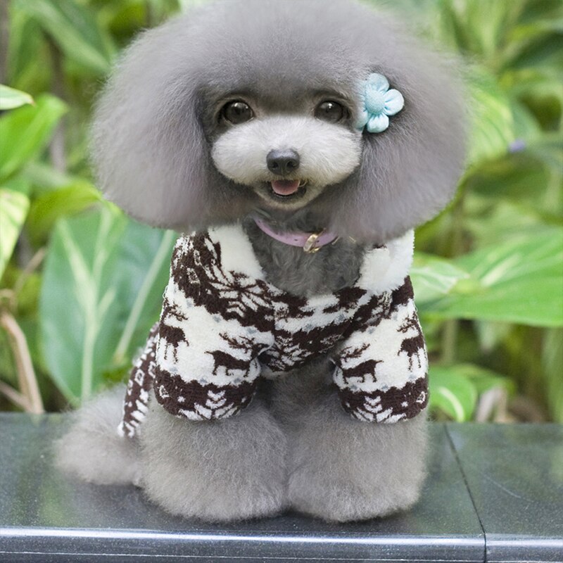 Inverno quente macio hoodie macacão casaco roupas traje para cachorro de estimação cachorro quente bonito