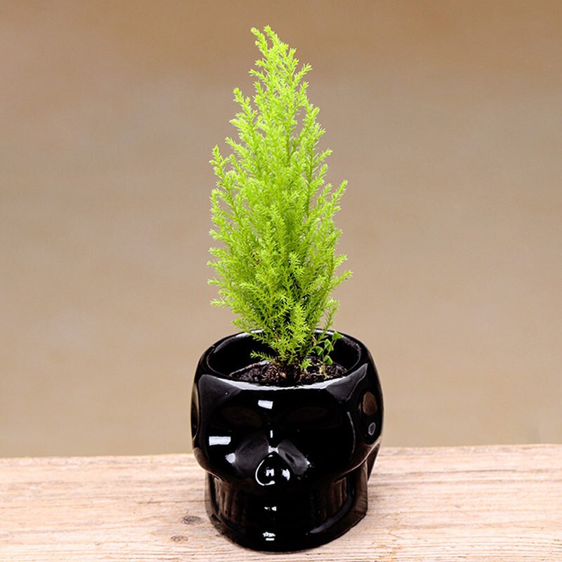 Black White Skull Ceramic Flower Pots Succulent Flower Planter Eco-friendly Flower Pot Home Garden Pot