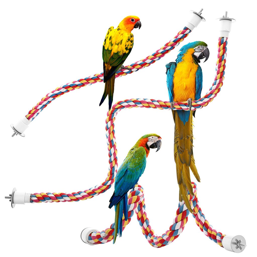 Juguetes para mascotas, cuerda colgante Multicolor tipo Bungee Bird, Calopsita juguete, accesorios para loros, pájaros: Multicolor S