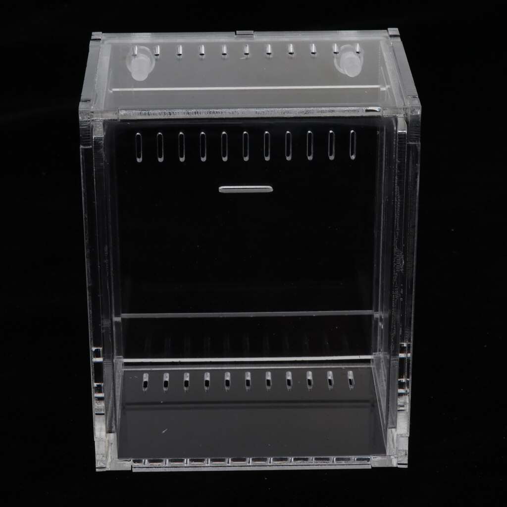 Reptile Terrarium Amphibian Habitat for Mini Pet Houses Acrylic Box Clear