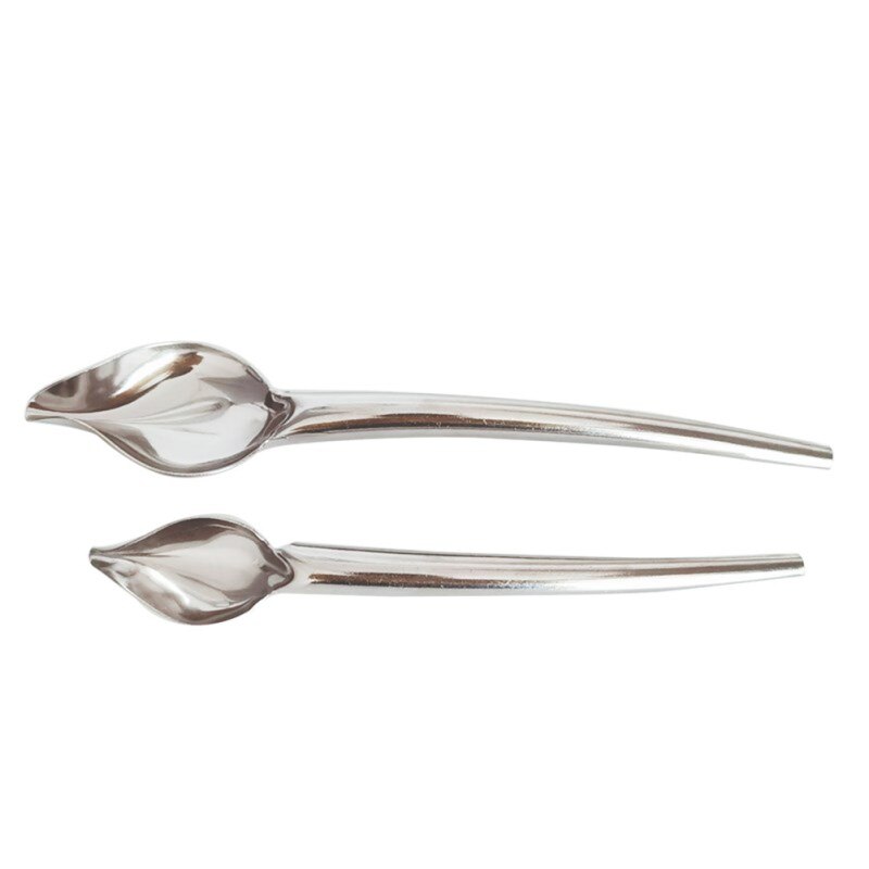 Decorating Spoon Multi-use Precision Chef Culinary Drawing Spoons For Decorating Plates，2 Pieces