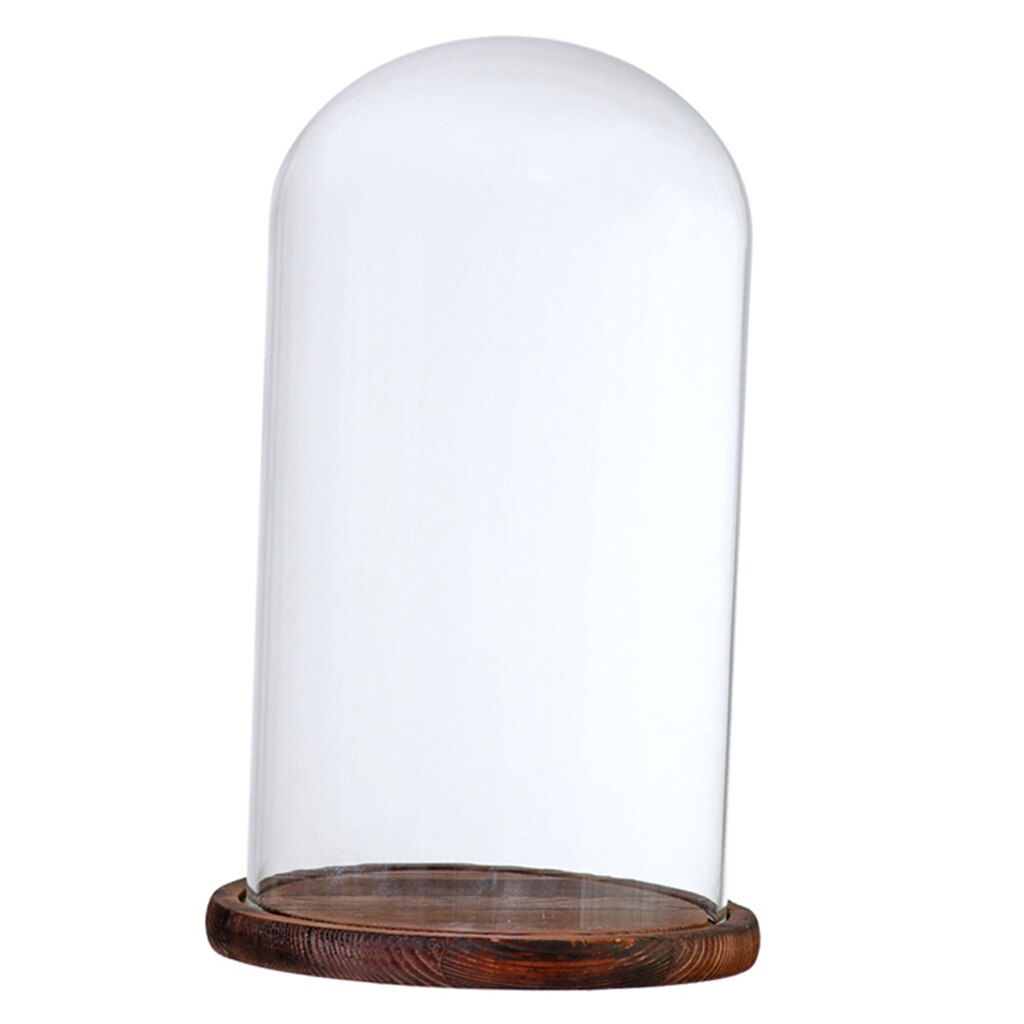 Klart glas lock landskap vas terrarium behållare blomhållare kupol för jul bröllop heminredning: Brun f