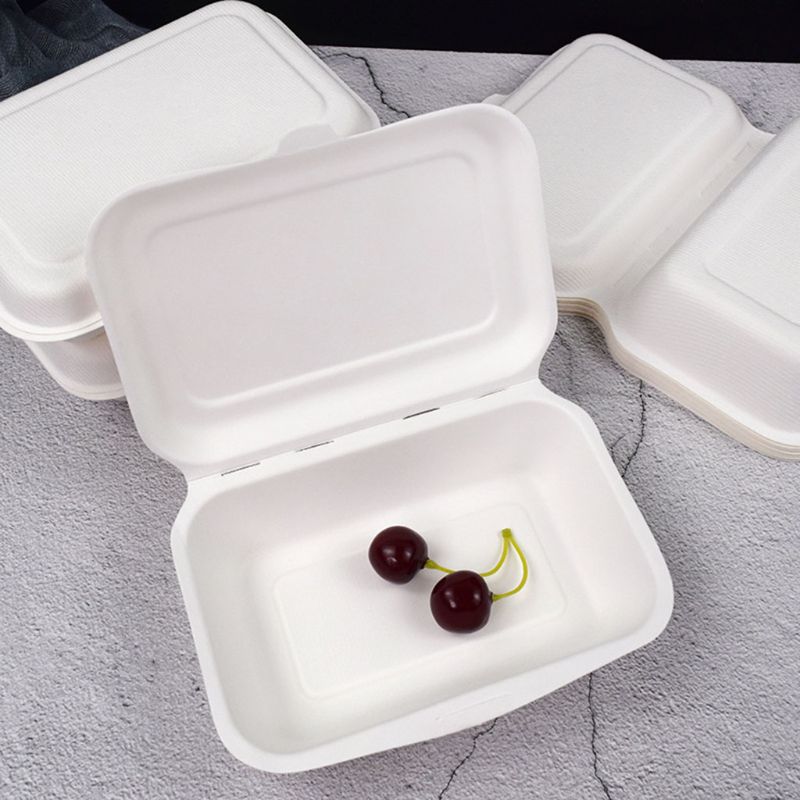 50 Stks/zak 450 Ml Milieuvriendelijke Wegwerp Afhalen Voedsel Containers Afbreekbaar Restjes Lunchbox