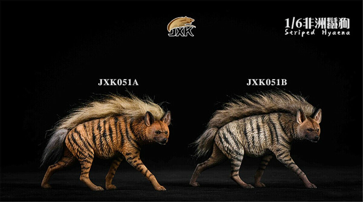 JXK 1:6 Scale Africa Striped Hyaena Figure Dog Hyaenidae Animal Collector Toy Resin Decoration