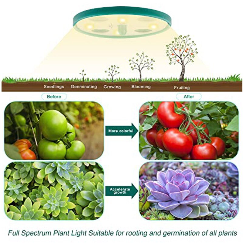 5Pack Greenhouse Planter Box Kit 12 Holes Nursery Pot Plant Seedling Tray with Growth Light Garden Cultivation Seeding Plant Pot