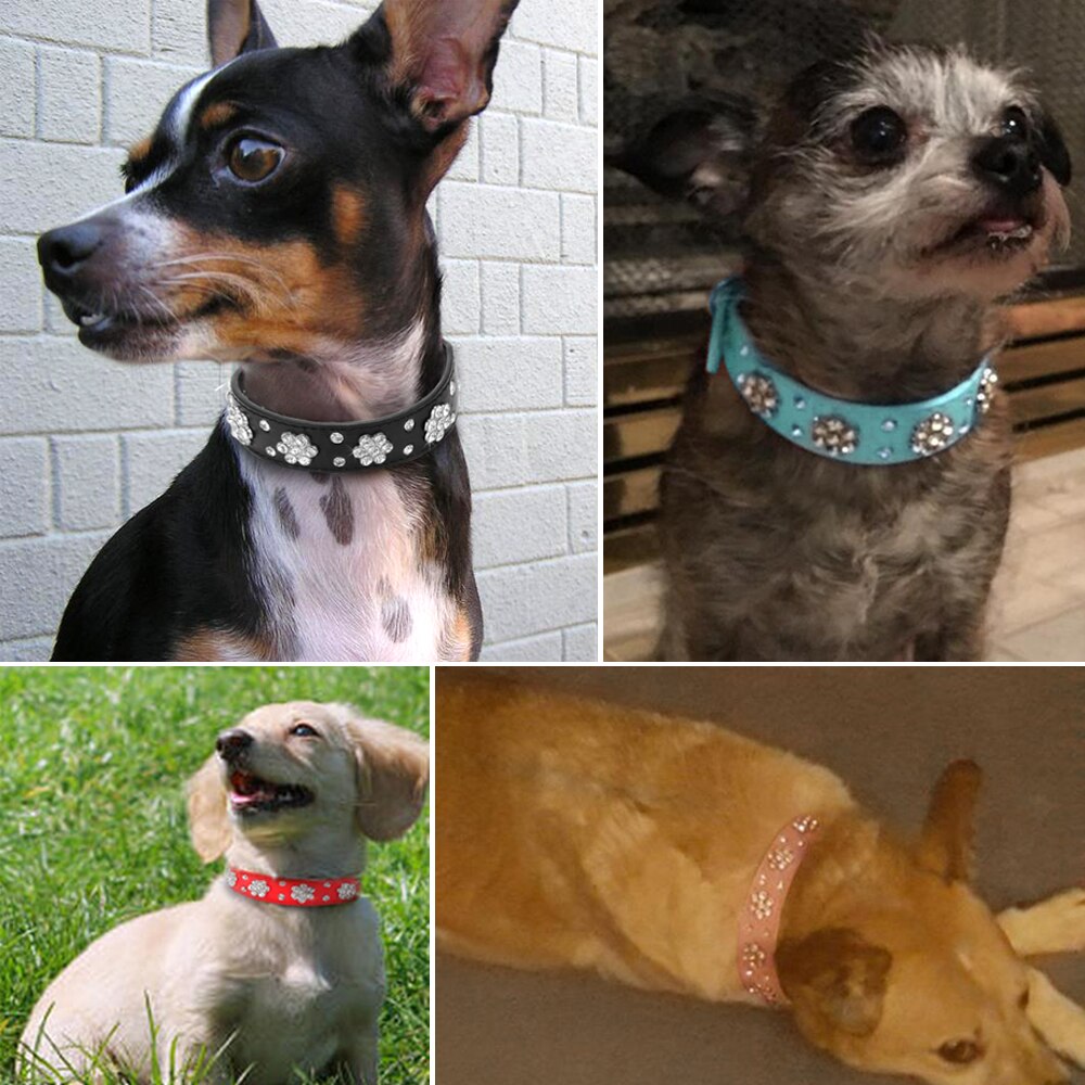 Bling Rhinestone Dog Collars Leather For Small Medium Dogs Adjustable Puppy Dog Chihuahua Collar Crystal Diamante Correa Perro