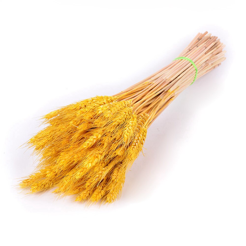 50Pcs/lot Real Wheat Ear Flower Natural Dried Flowers or Wedding Party Decoration DIY Craft Scrapbook Home Decor Wheat Bouquet: Yellow