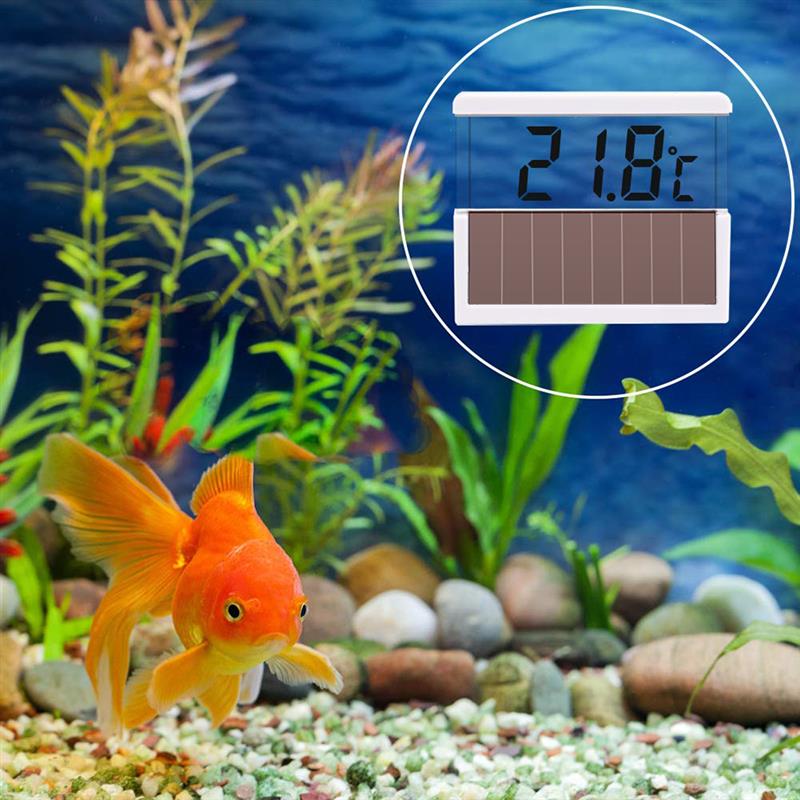 Digitale Aquarium Thermometer Celsius Fahrenheit Schakelbare Thermometer Zonne Aquarium Thermometer Temperatuur Meten Tool