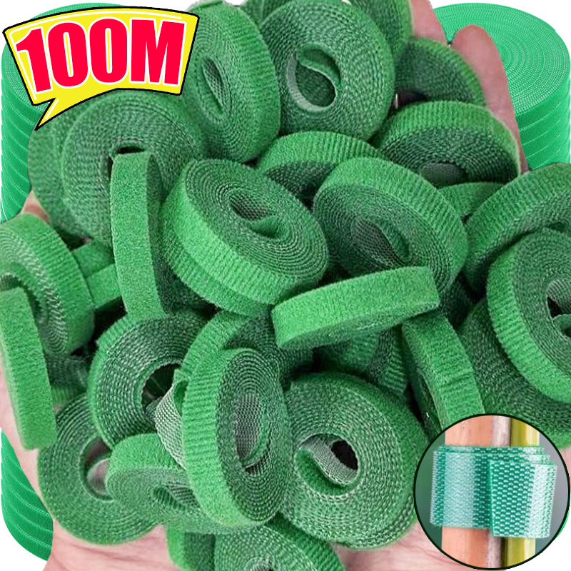 Fascette per piante autoadesive Fascette per piante in nylon regolabili Spago da giardino Fasciatura per piante Gancio Anello Vite Avvolgimento Nastro di supporto Striscia di fissaggio