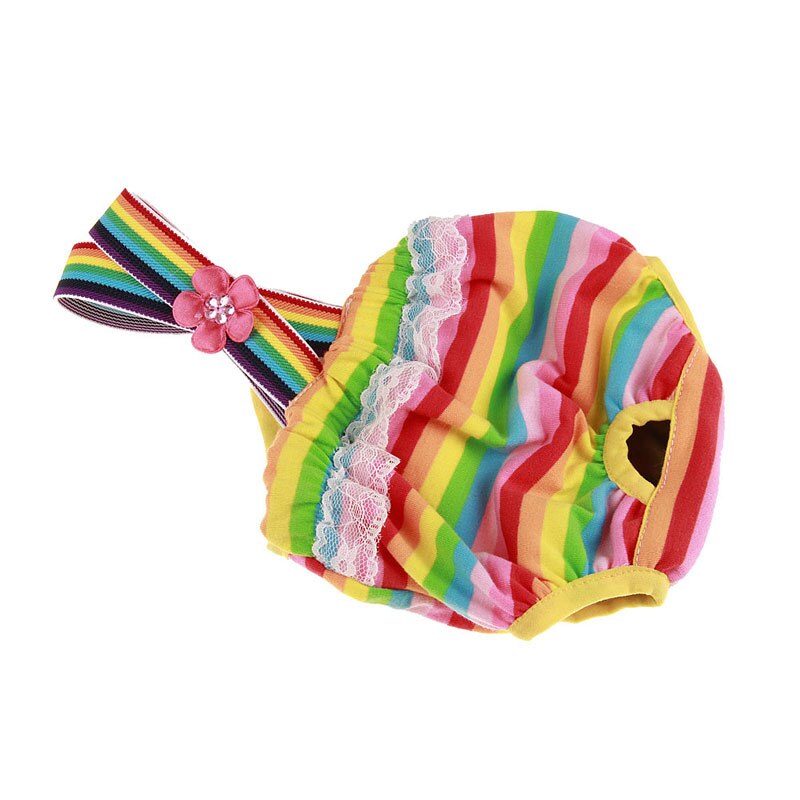 Culotte physiologique arc-en-ciel pour chiens, sous-vêtement respirant en coton, protection pour animaux De compagnie: 4 / L