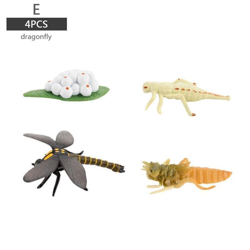 Simulatie Insect Bee Groei Cyclus Model Beeldjes Kikkers Zee Groei Mier Set Mosquito Model Cyclus Cijfers Kip Speelgoed T G5N: E