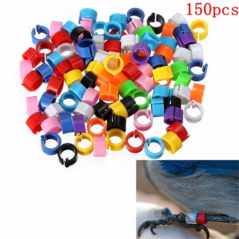 150 Pcs Multicolor Chicken Leg Bands Plastic 10mm Chicken Poultry Leg Rings PigeonGeese Quail Bird Ring Carry Tool Feeding