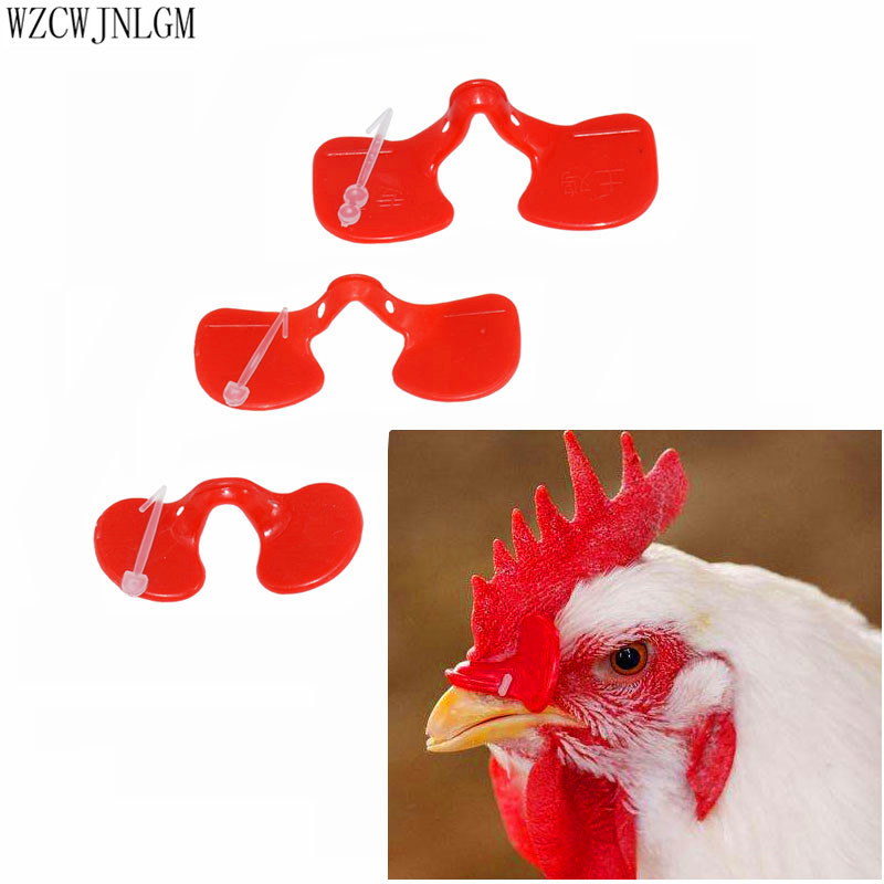 Gevogelte kip met koppelverkoop bril 80/70/5.5mm rode pauw goggles fazant bril gevogelte producten 50 stuks