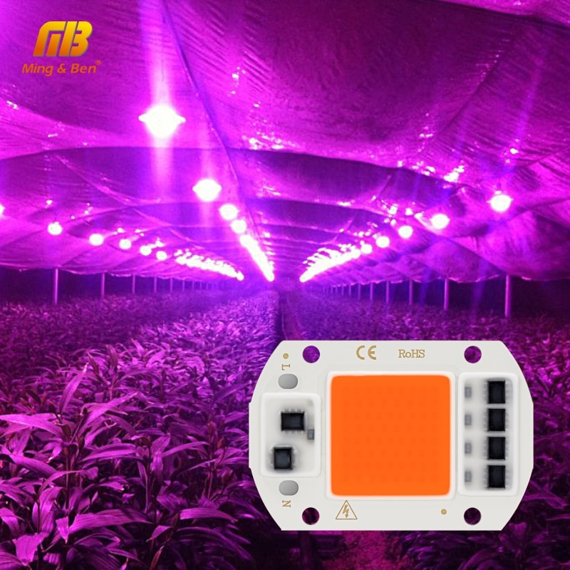 Led Cob Groeien Chip Volledige Spectrum Phyto Lamp AC220V 10W 20W 30W 50W Diy Fitolamp Voor indoor Plant Zaailing Bloem Groeilicht