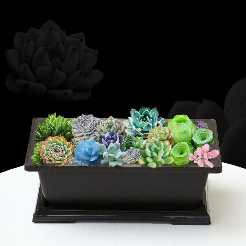 Maceta grande para flores, maceta rectangular para bonsái, vivero, contenedor para balcón, 29x21x10,5 cm